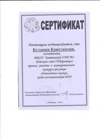 Сертификат Кутанин Константин