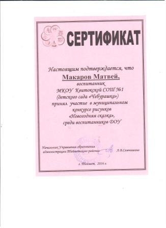 Сертификат Макаров Матвей